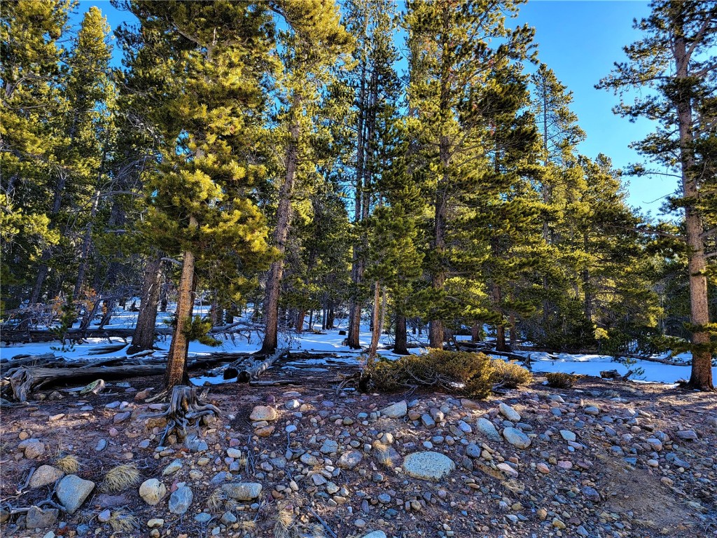 441 Gold Trail Fairplay CO 80440