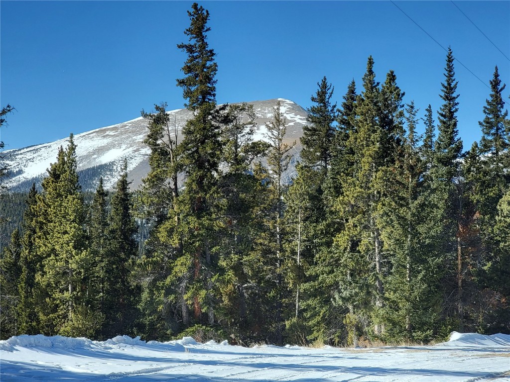 441 Gold Trail Fairplay CO 80440