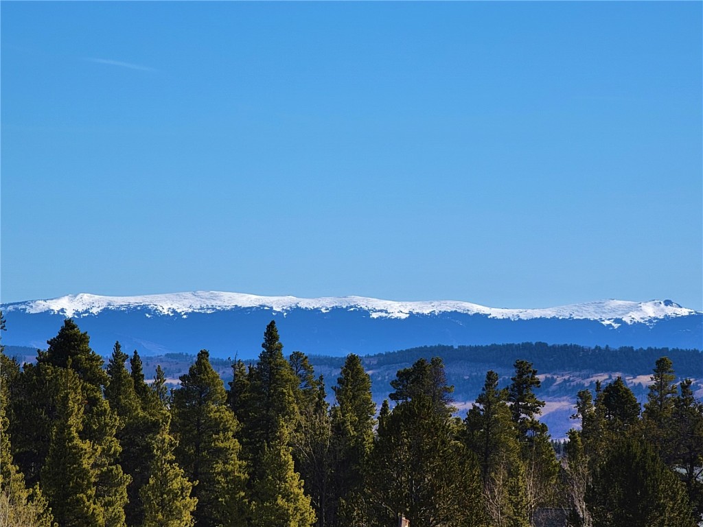 441 Gold Trail Fairplay CO 80440