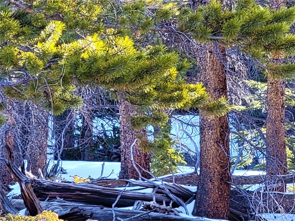 441 Gold Trail Fairplay CO 80440