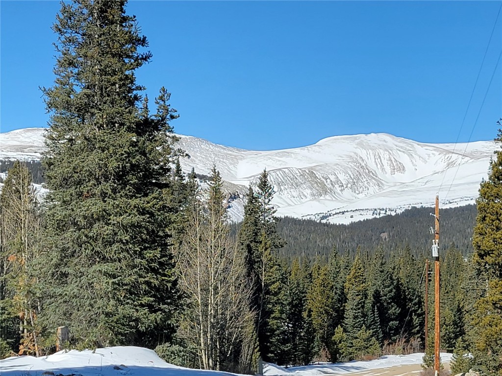 441 Gold Trail Fairplay CO 80440