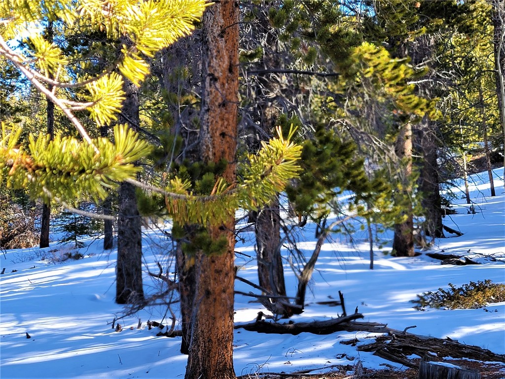 441 Gold Trail Fairplay CO 80440