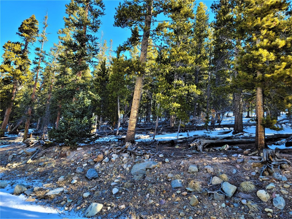 441 Gold Trail Fairplay CO 80440