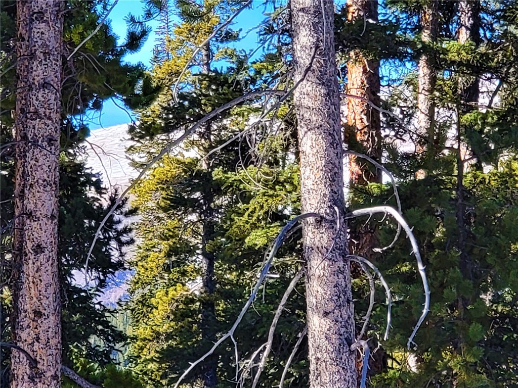 441 Gold Trail Fairplay CO 80440