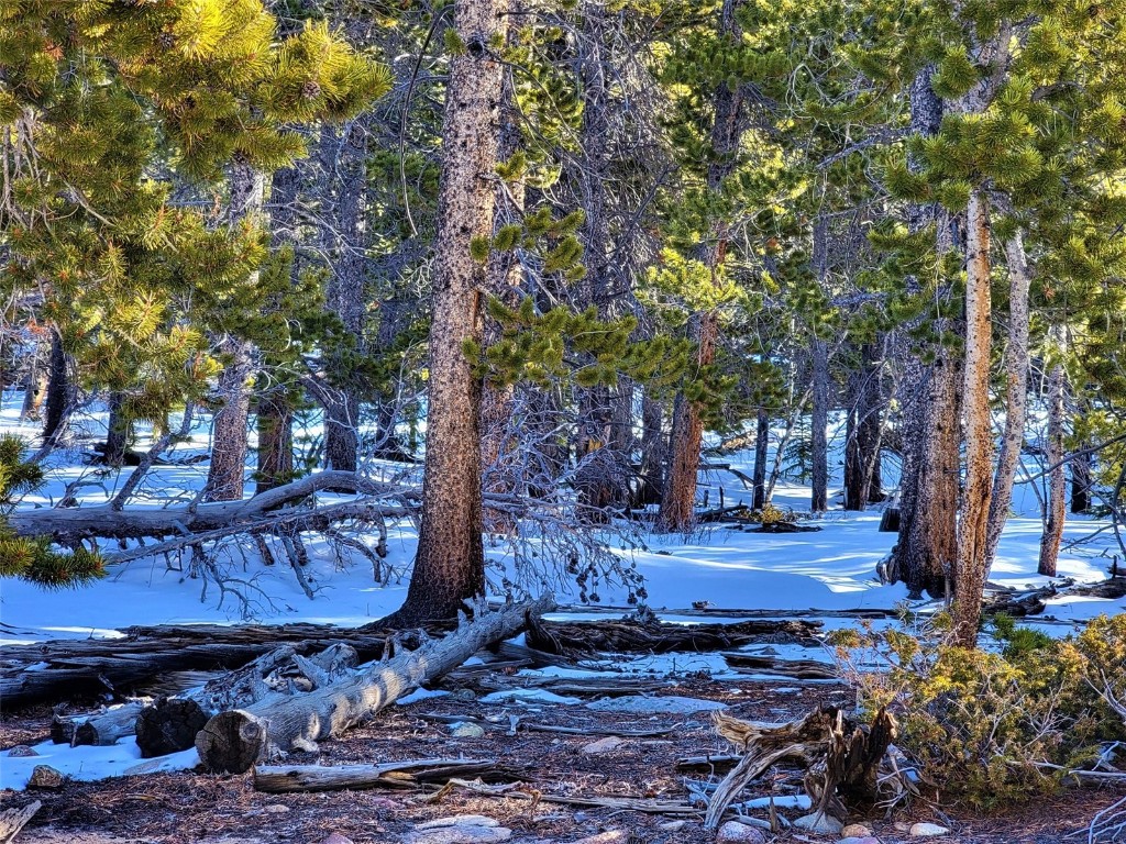 441 Gold Trail Fairplay CO 80440