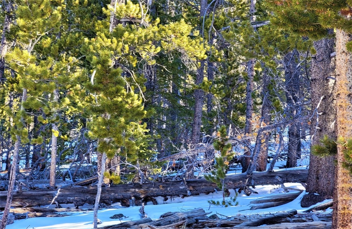 441 Gold Trail Fairplay CO 80440