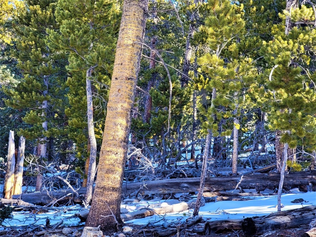 441 Gold Trail Fairplay CO 80440