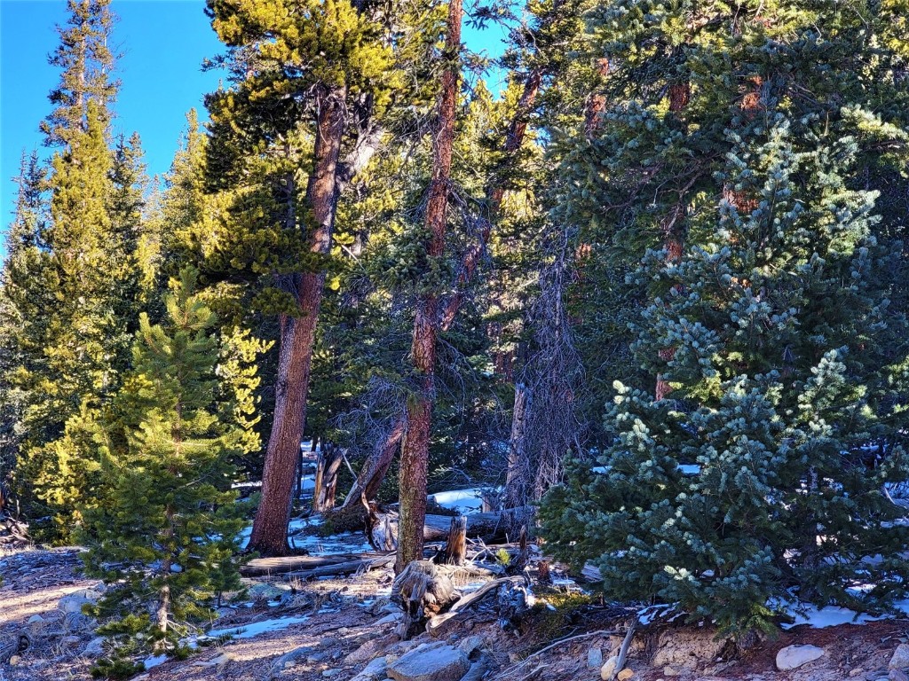 441 Gold Trail Fairplay CO 80440