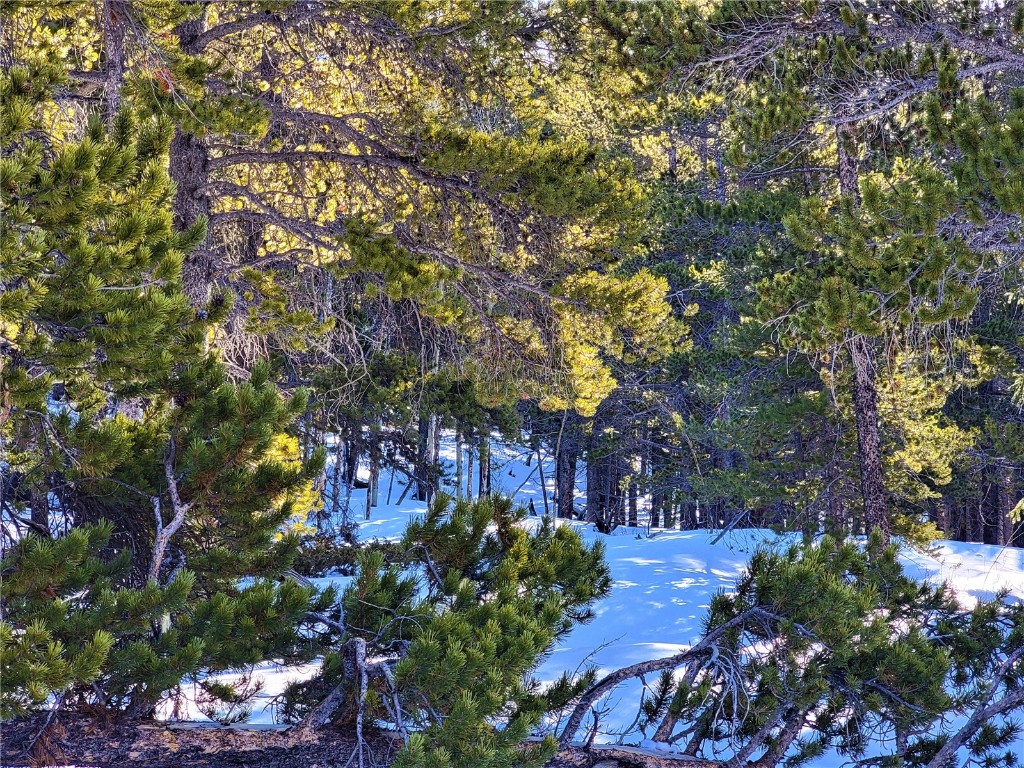 441 Gold Trail Fairplay CO 80440