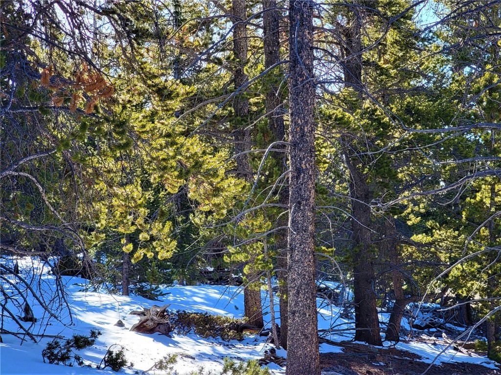 441 Gold Trail Fairplay CO 80440