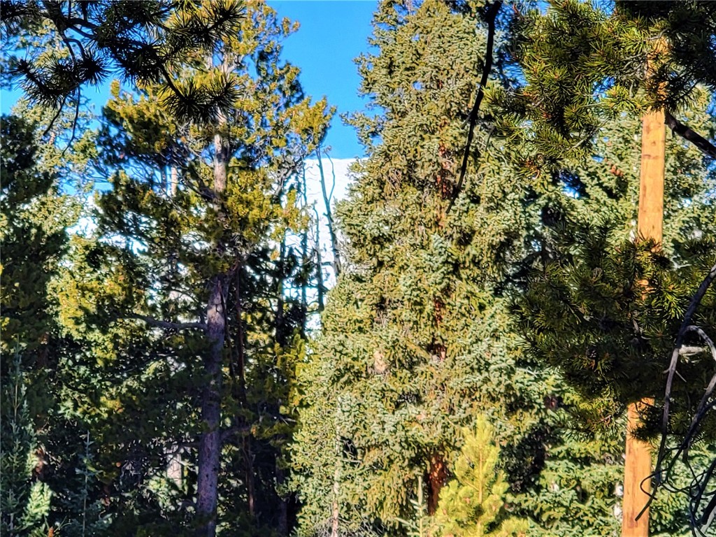 441 Gold Trail Fairplay CO 80440