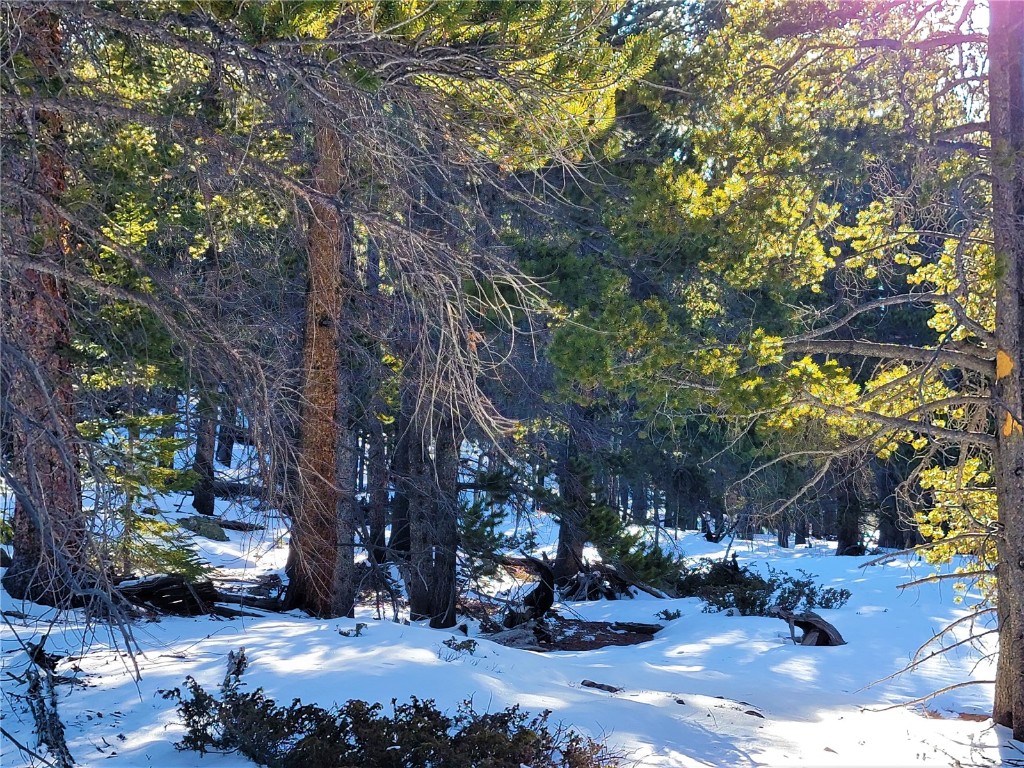 441 Gold Trail Fairplay CO 80440