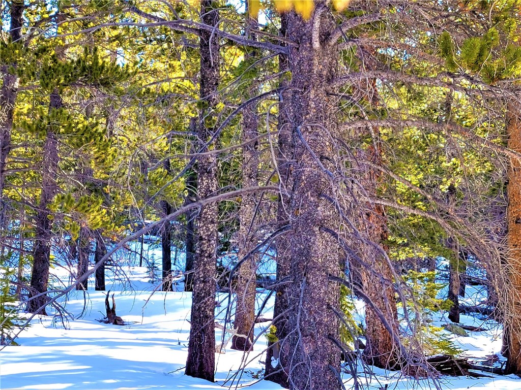 441 Gold Trail Fairplay CO 80440