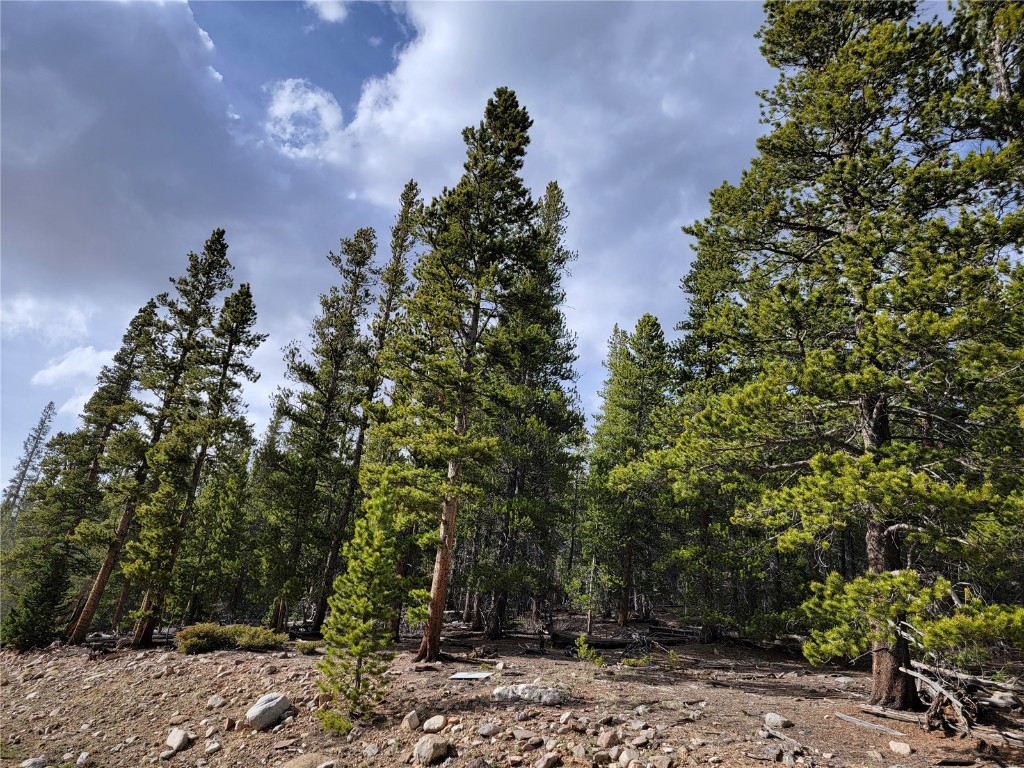 441 Gold Trail Fairplay CO 80440