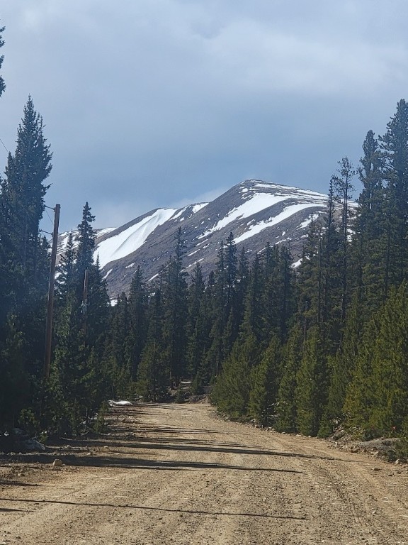 441 Gold Trail Fairplay CO 80440