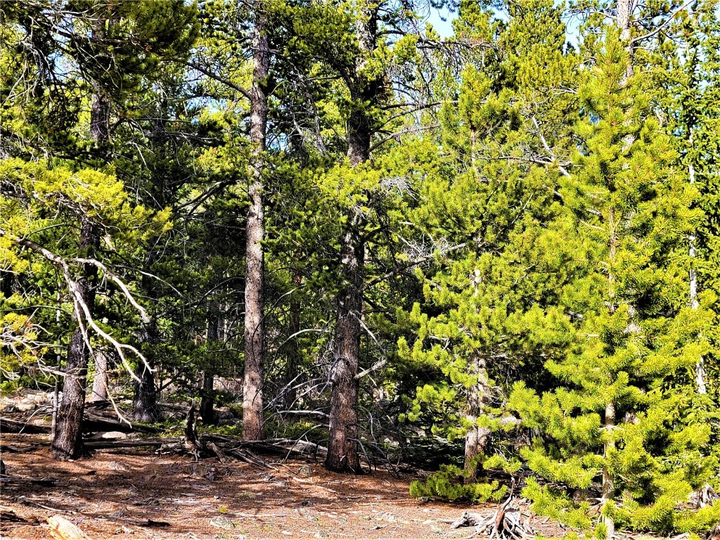 441 Gold Trail Fairplay CO 80440