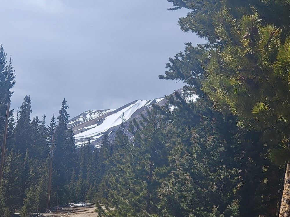 441 Gold Trail Fairplay CO 80440