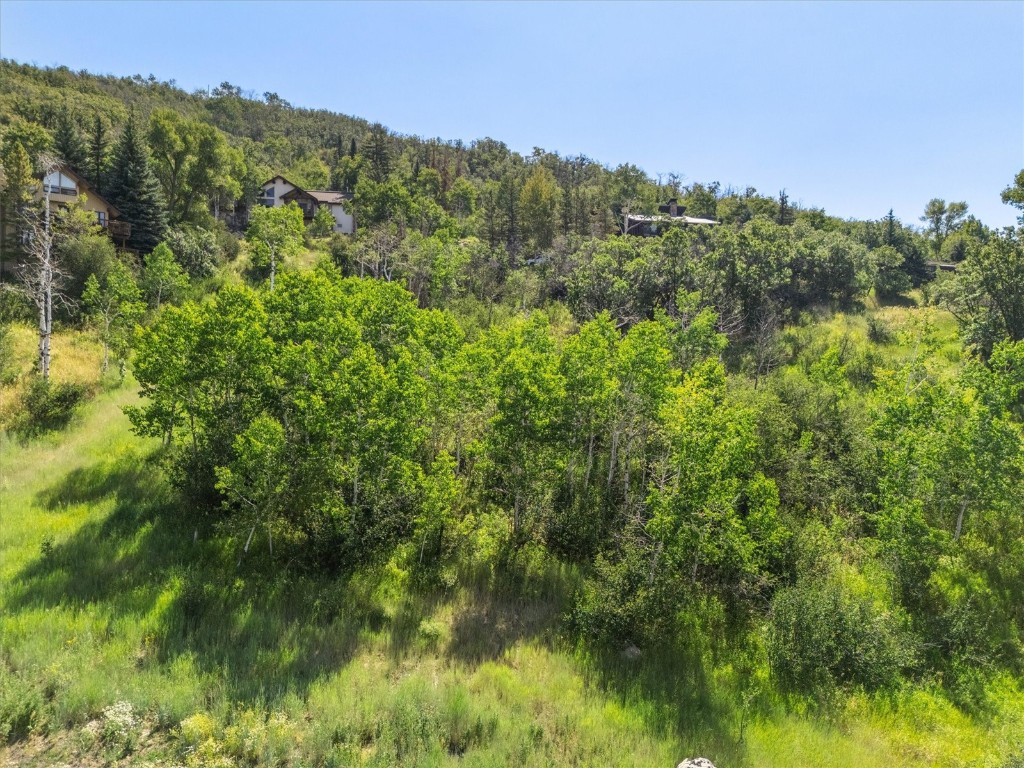 2725 Ski Trail Lane Steamboat Springs CO 80487