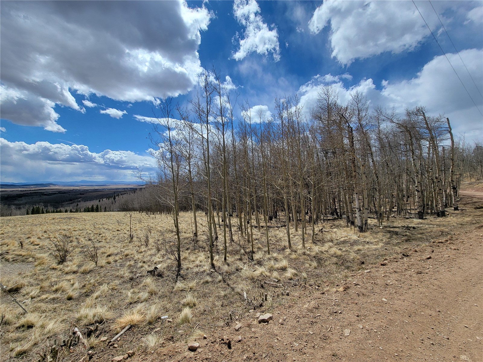 918 Little Baldy Circle Fairplay CO 80440