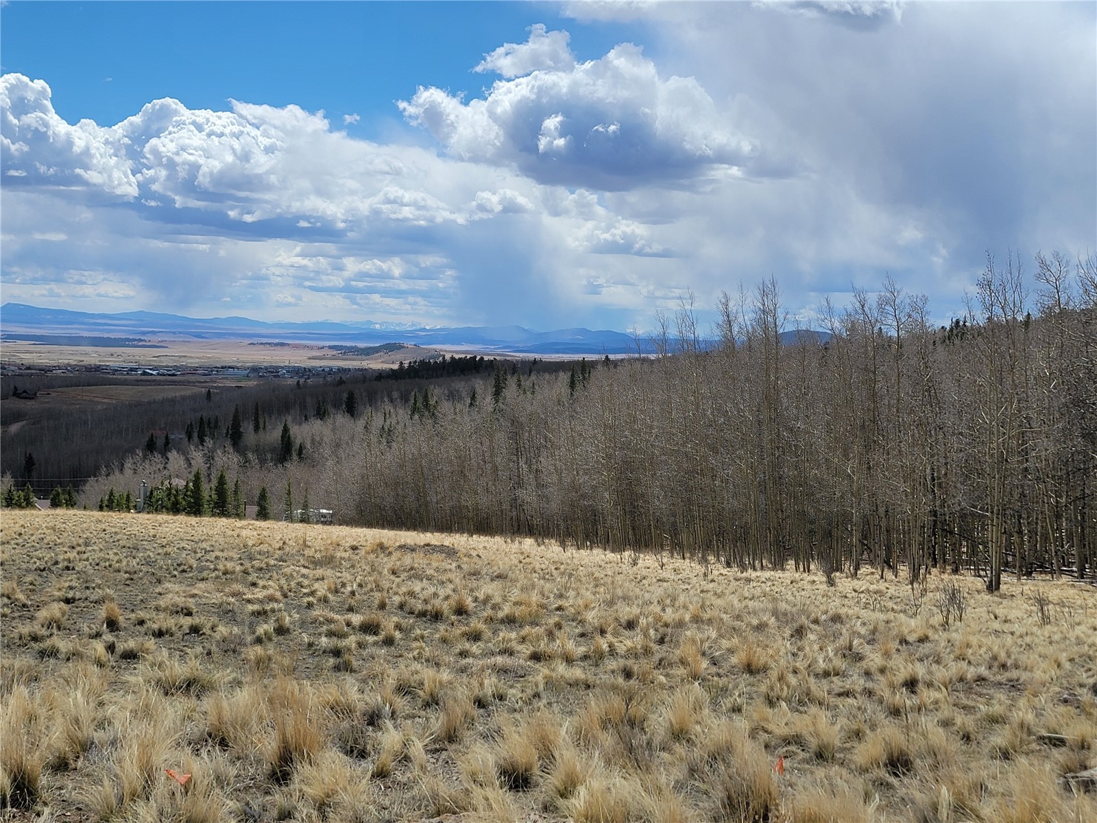 918 Little Baldy Circle Fairplay CO 80440