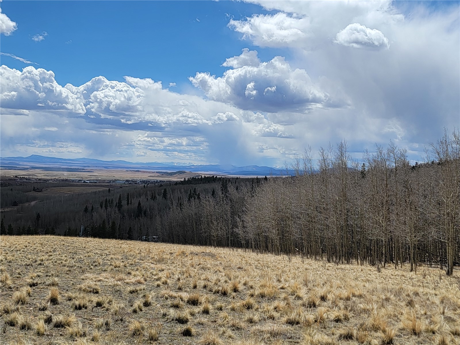 918 Little Baldy Circle Fairplay CO 80440