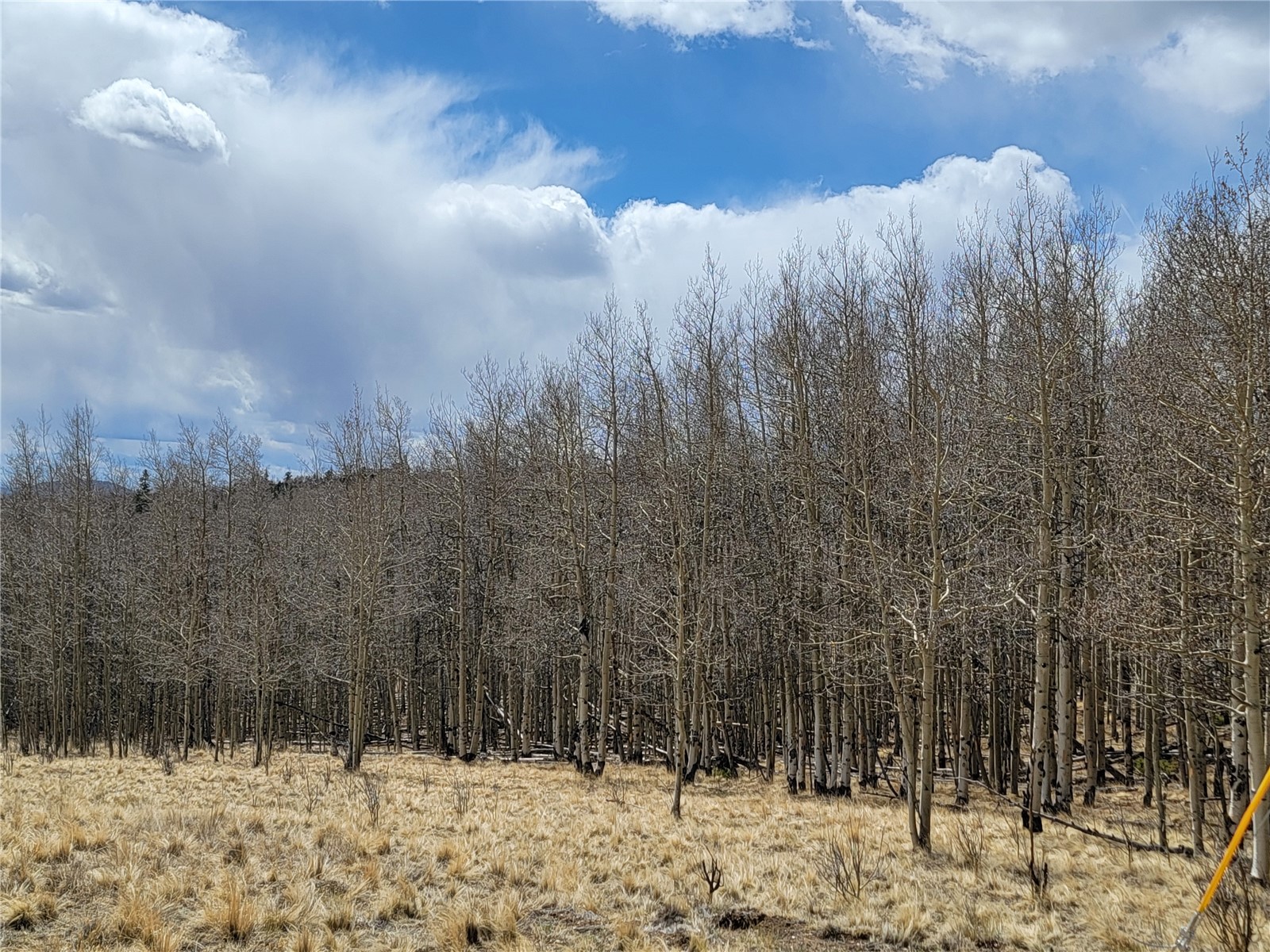 918 Little Baldy Circle Fairplay CO 80440