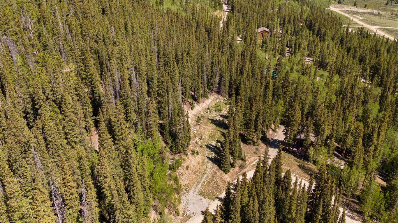 797 Peterson Drive Alma CO 80440