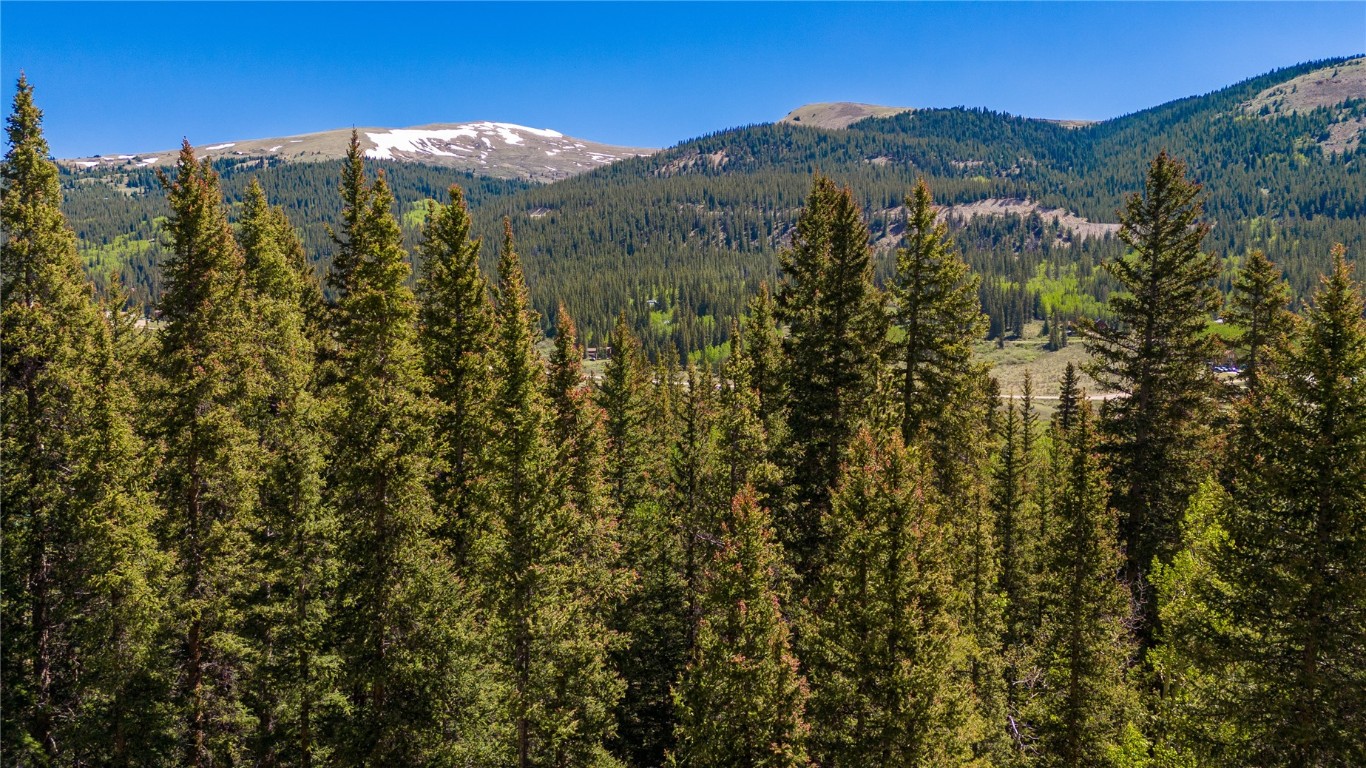797 Peterson Drive Alma CO 80440