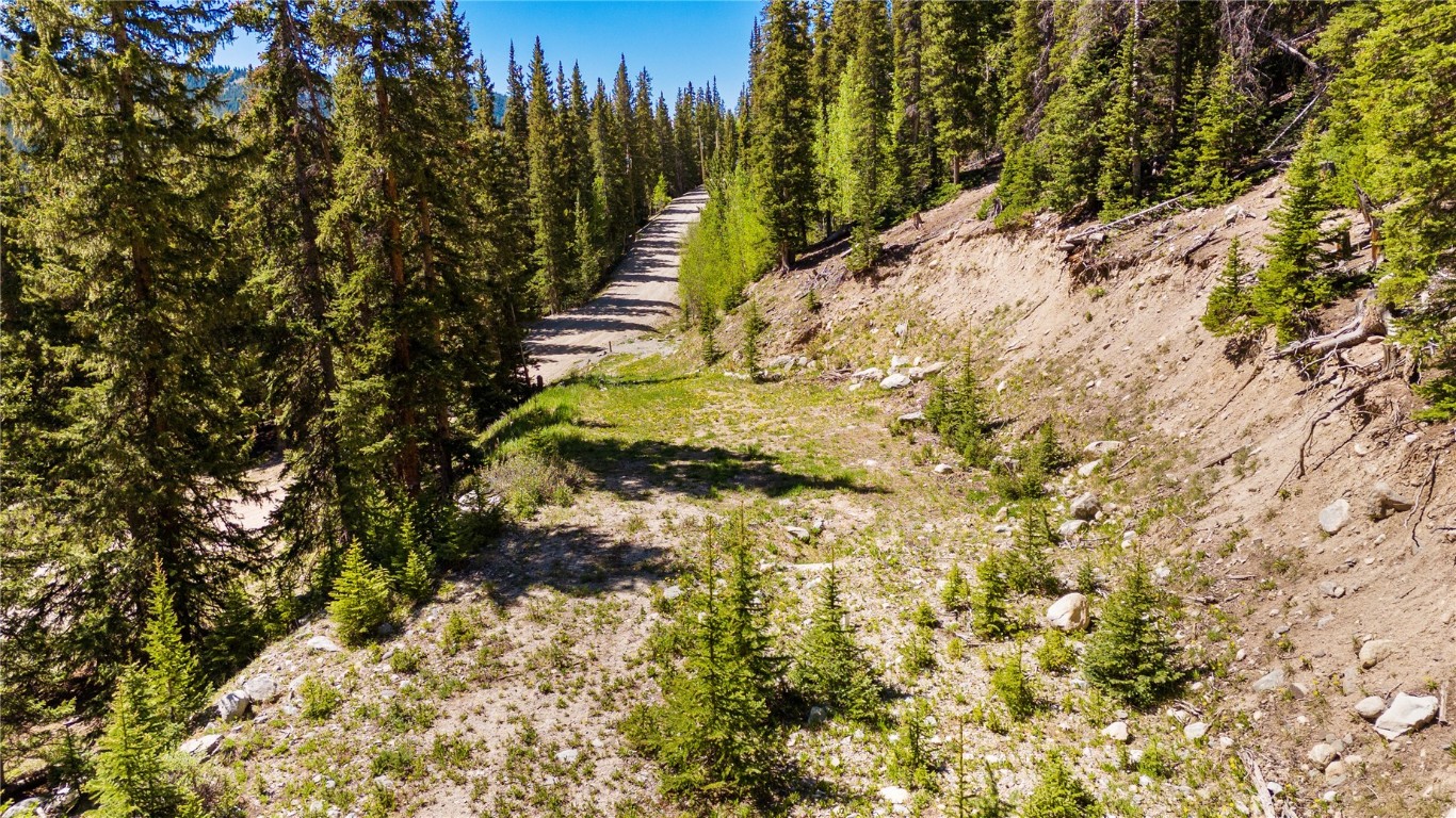 797 Peterson Drive Alma CO 80440