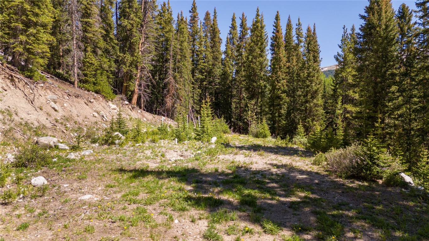 797 Peterson Drive Alma CO 80440