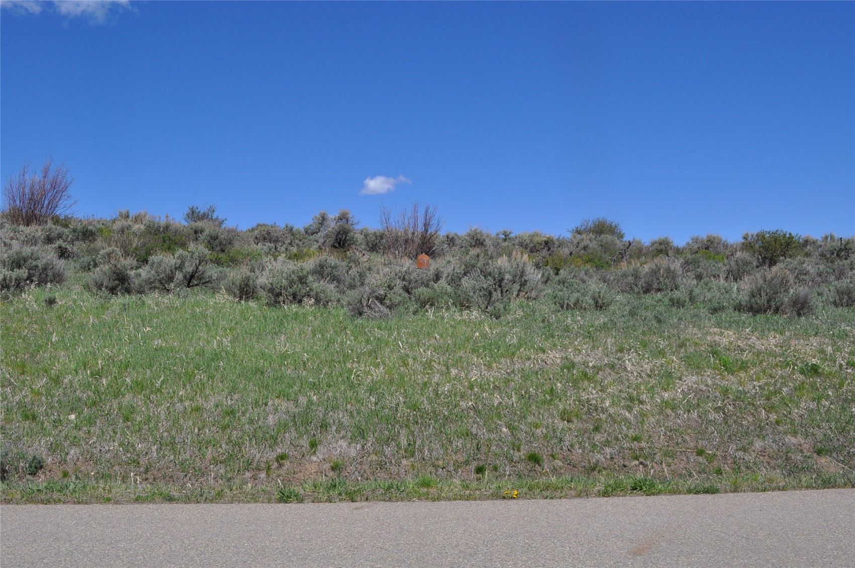 23395 Postrider Trail Oak Creek CO 80467