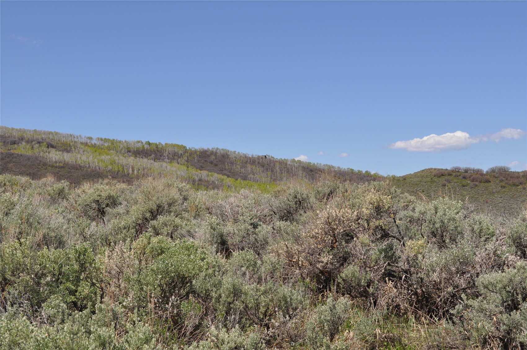 23395 Postrider Trail Oak Creek CO 80467