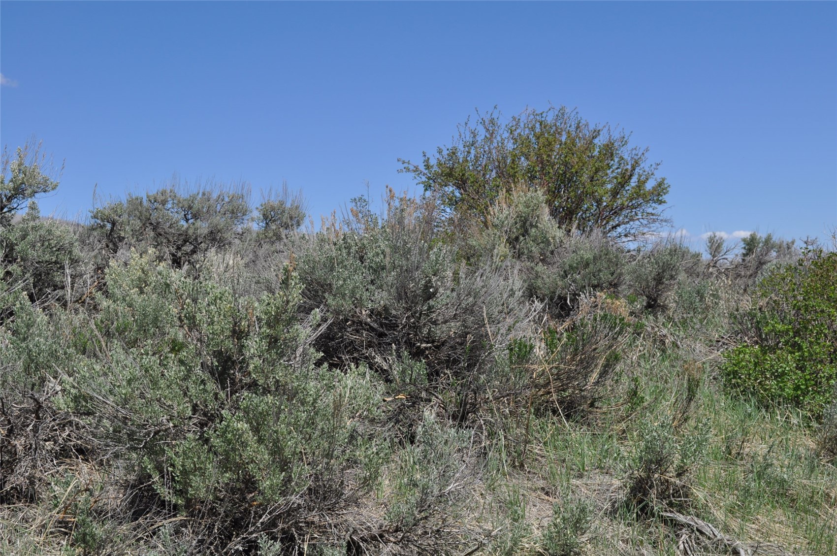 23395 Postrider Trail Oak Creek CO 80467