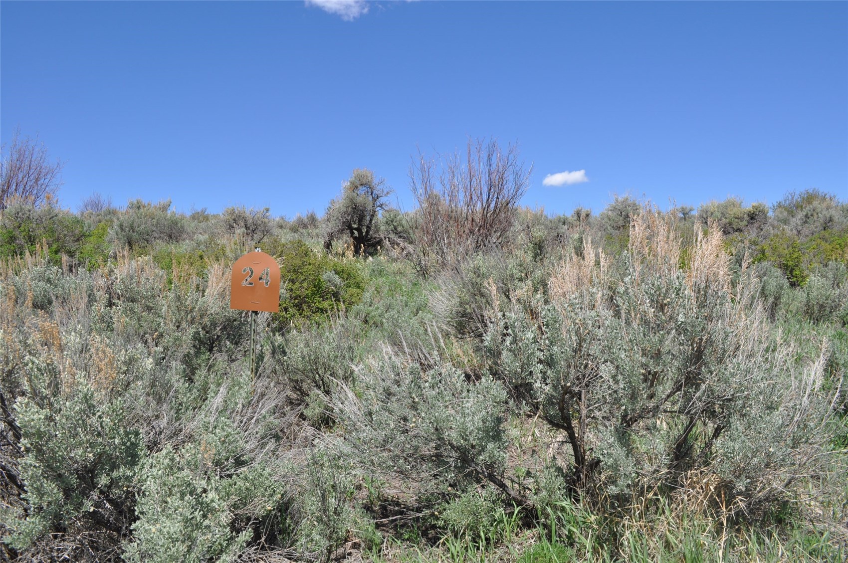 23395 Postrider Trail Oak Creek CO 80467