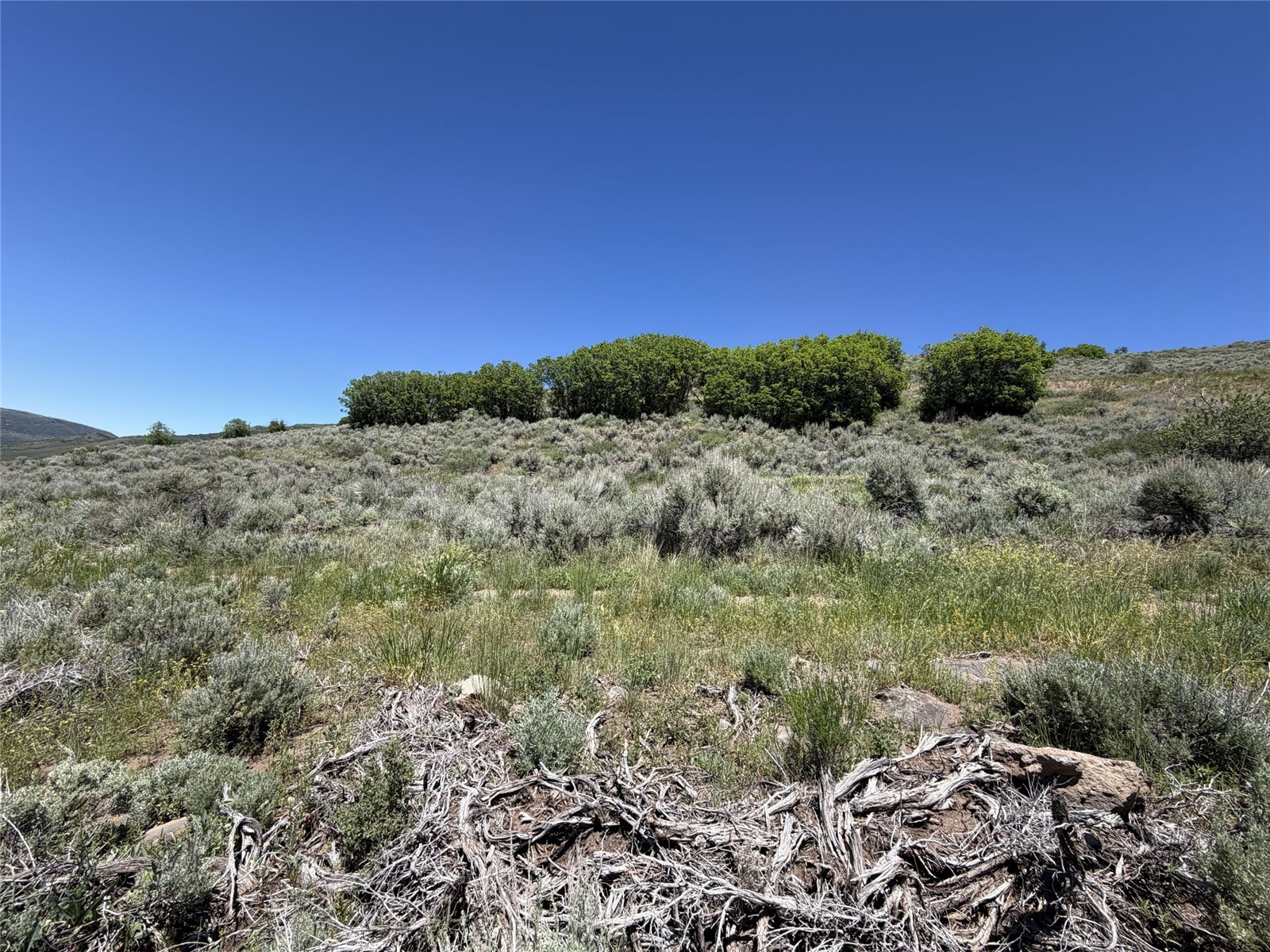 31700 Shoshone Way Oak Creek CO 80467