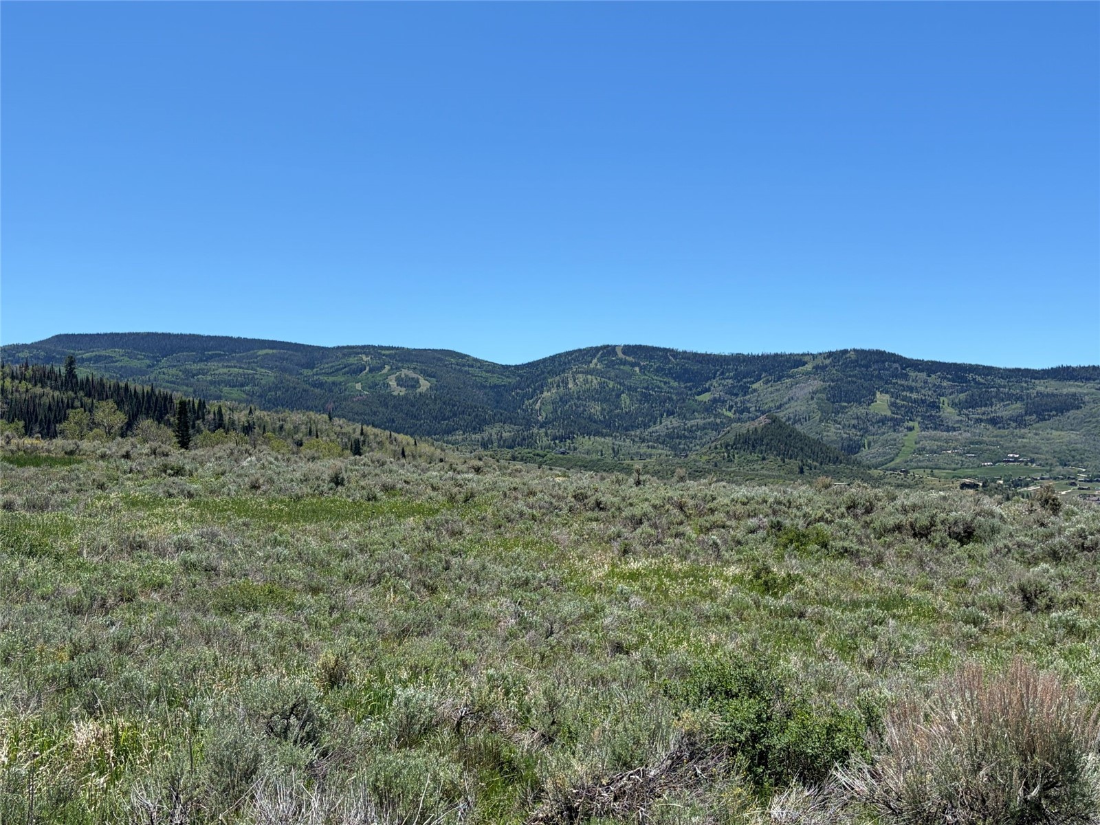 31700 Shoshone Way Oak Creek CO 80467