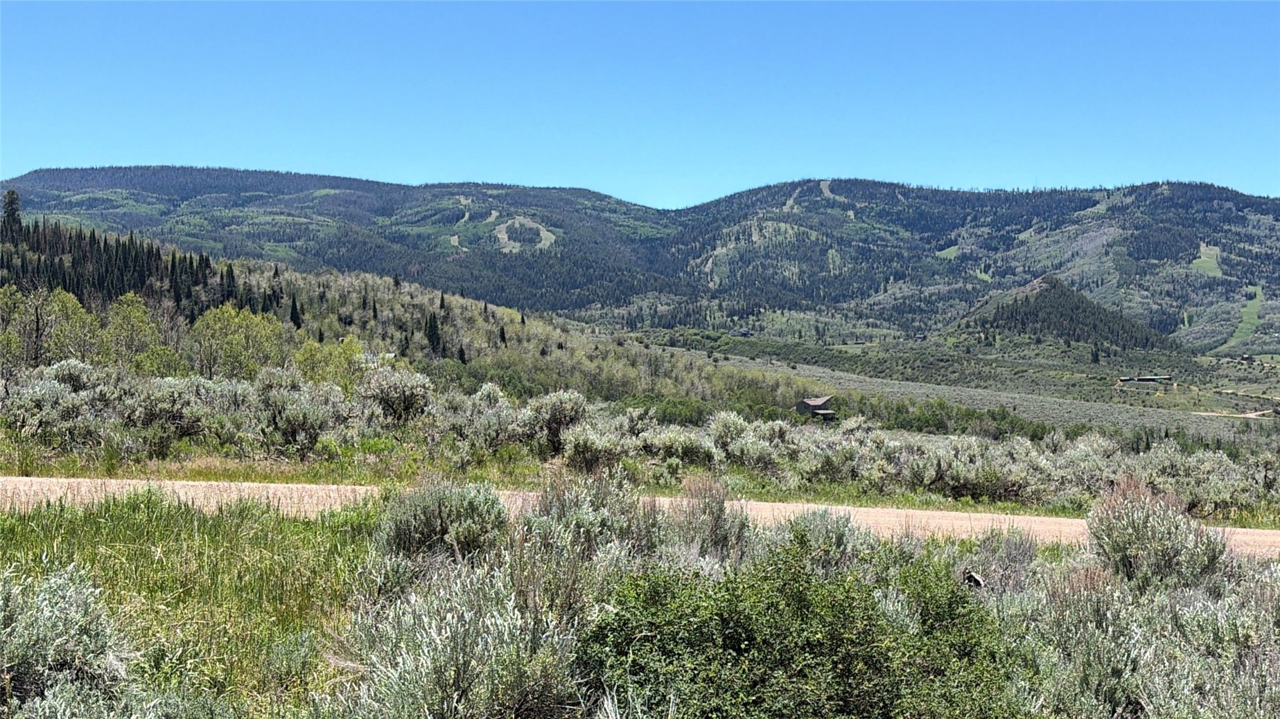 31700 Shoshone Way Oak Creek CO 80467