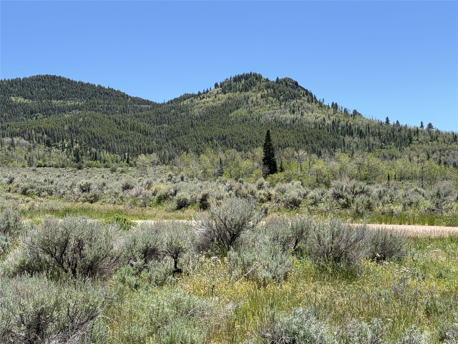 31700 Shoshone Way Oak Creek CO 80467