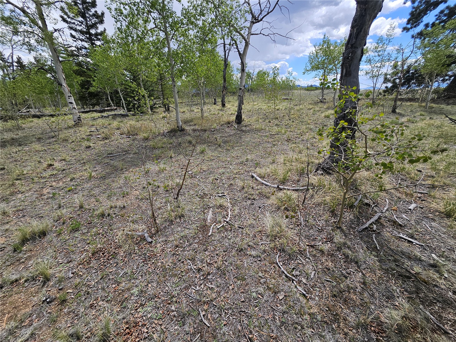 412 Smith And Wesson Road Como CO 80456