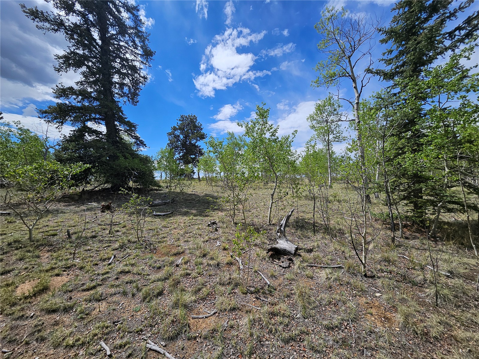 412 Smith And Wesson Road Como CO 80456