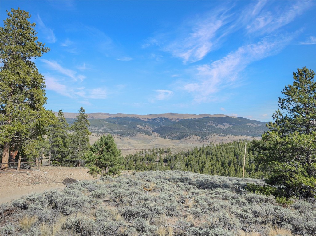 198 Fir Drive Leadville CO 80461