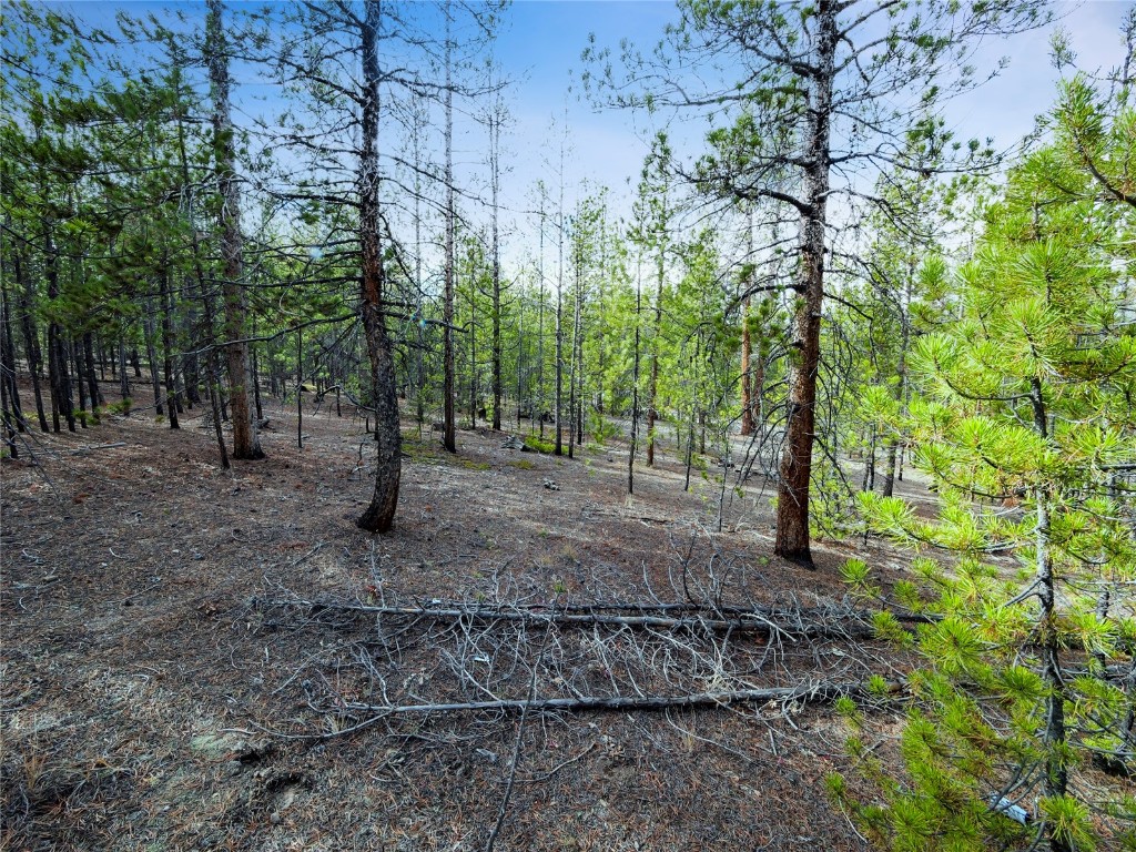 198 Fir Drive Leadville CO 80461