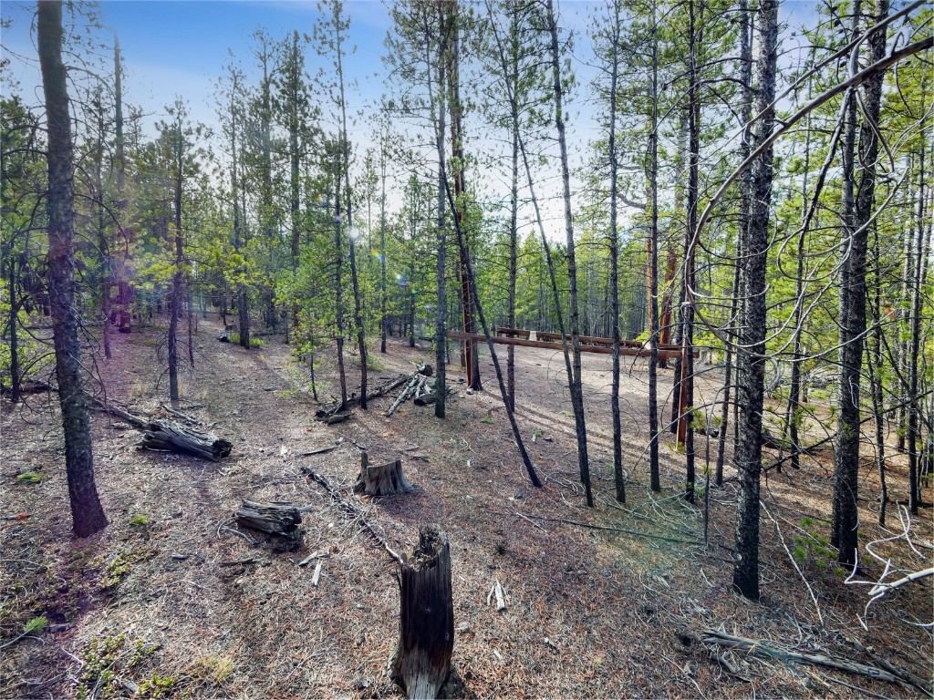 198 Fir Drive Leadville CO 80461