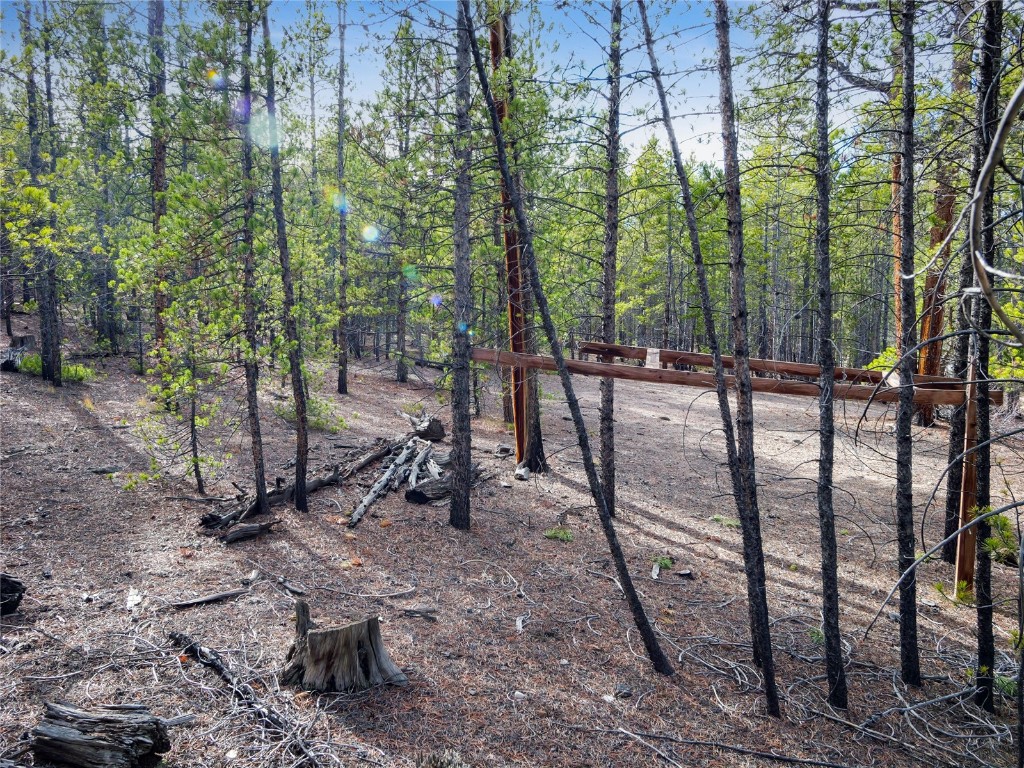 198 Fir Drive Leadville CO 80461