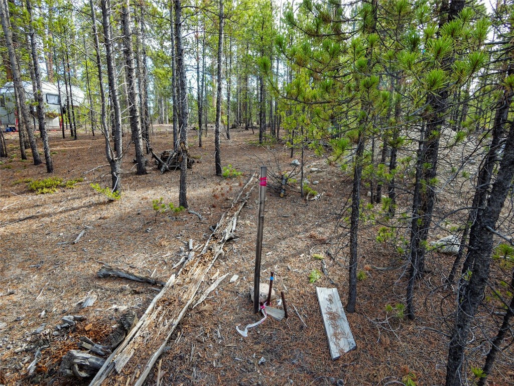 198 Fir Drive Leadville CO 80461