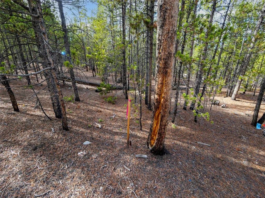 198 Fir Drive Leadville CO 80461