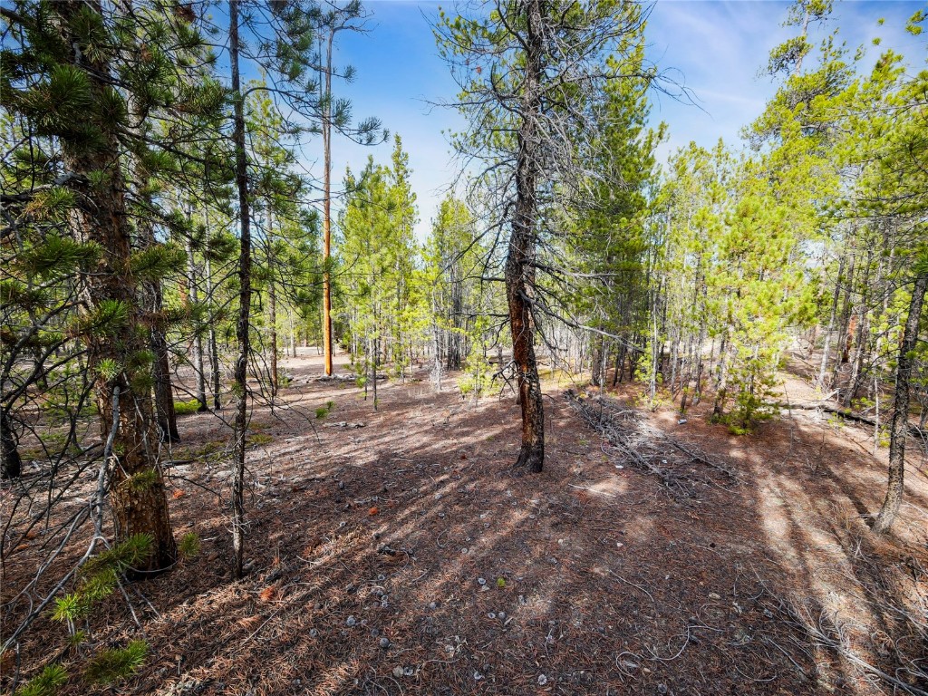 198 Fir Drive Leadville CO 80461