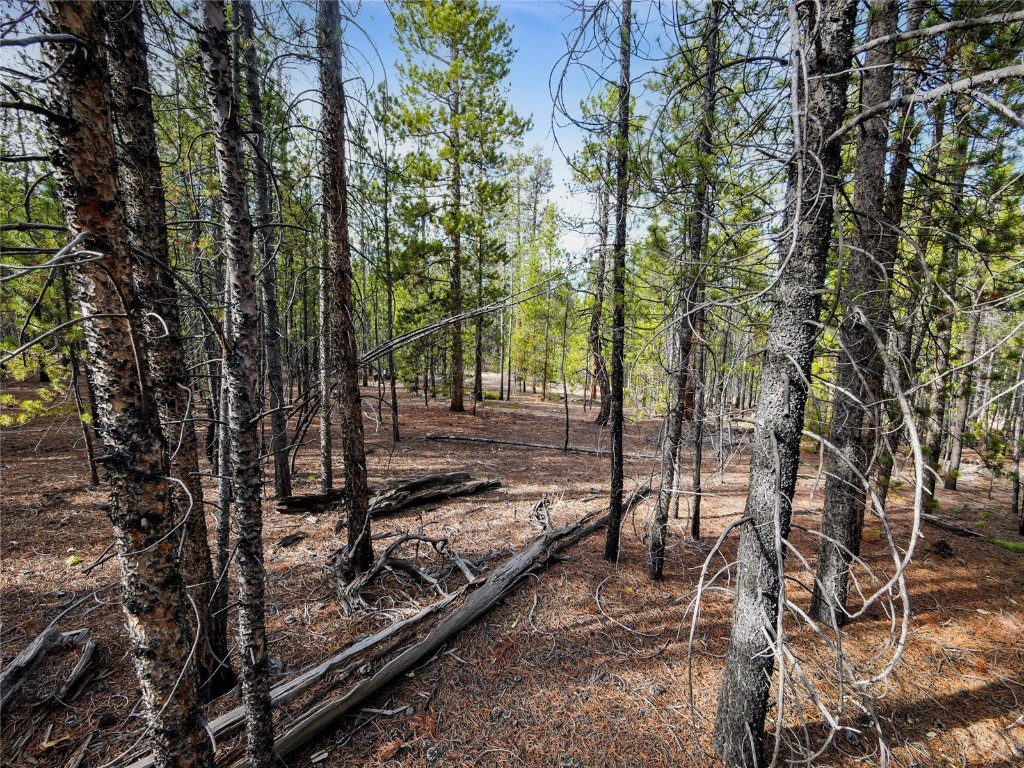 198 Fir Drive Leadville CO 80461
