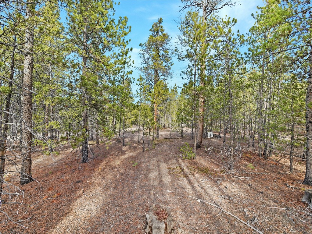 198 Fir Drive Leadville CO 80461
