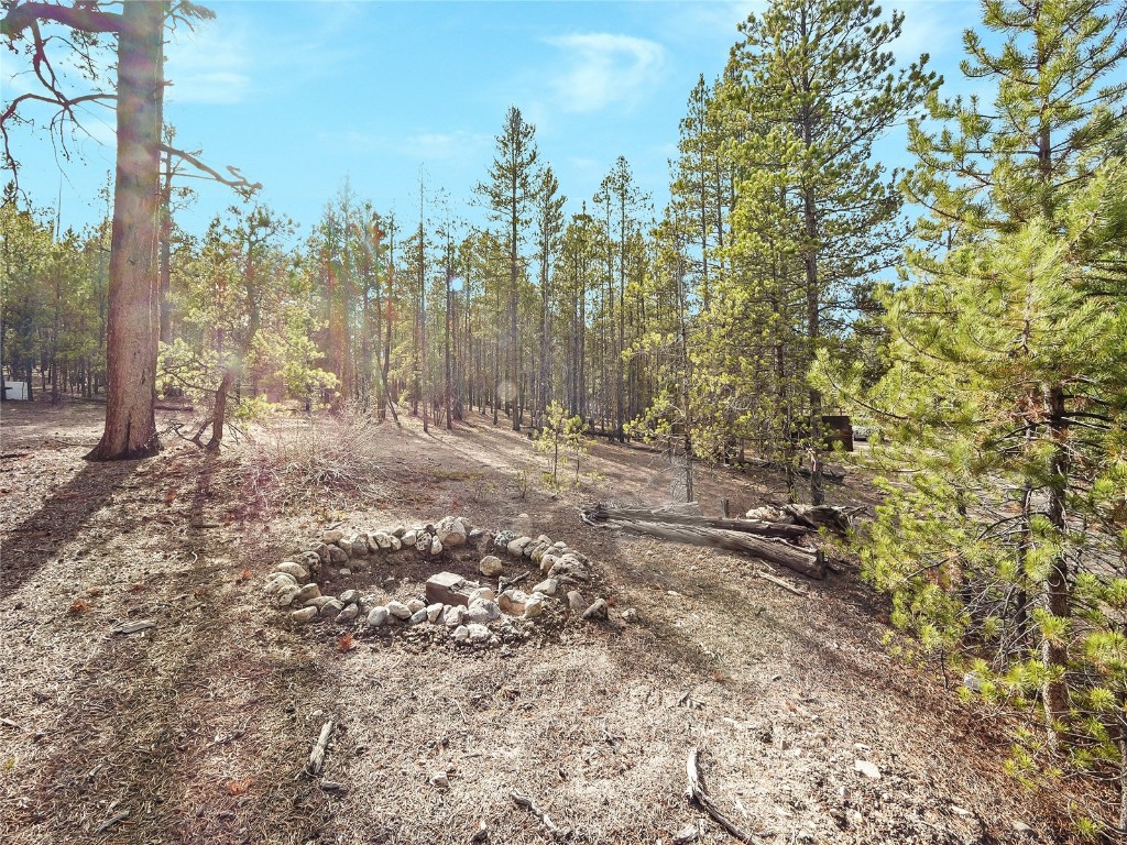 198 Fir Drive Leadville CO 80461
